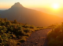 how i transformed my life by ditching my smartphone 1746691326